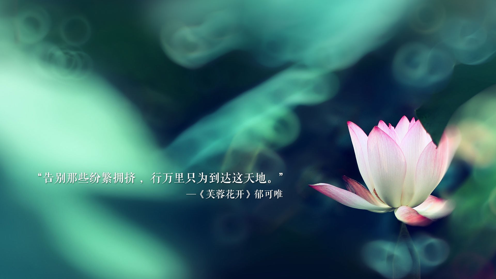 终场哨响前的奇迹，布雷默一锤定音，秘鲁绝杀里昂震撼足坛